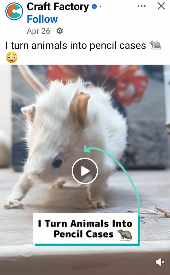 Horrendous DIY craft project of an animal turned into a pencil case highlighted in craft shaming collection.