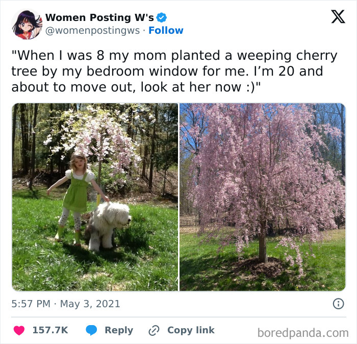 Child with dog standing by a blooming Camellia tree, now fully grown and vibrant, boosting daily serotonin from IG pics.
