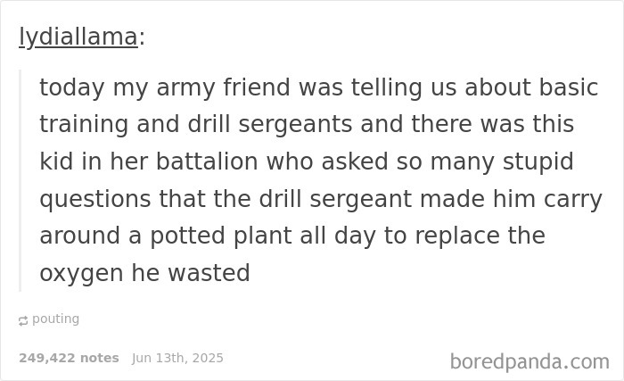 Text post from lydia llama about a drill sergeant delivering an epic burn to a soldier for wasting oxygen.