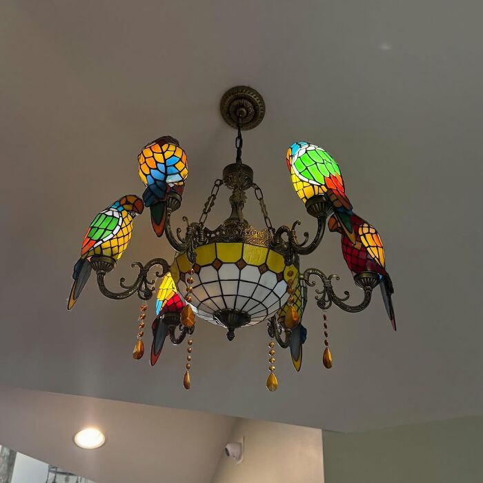 Stained glass parrot chandelier showcasing cool secondhand finds as a unique and colorful vintage lighting fixture.