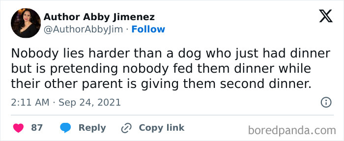 Tweet about a dog pretending not to be fed while eagerly awaiting a second dinner, showcasing delightful animals.