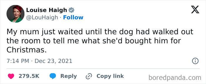 Tweet about a dog and Christmas gift, showcasing delightful animals in a humorous and adorable social media post.