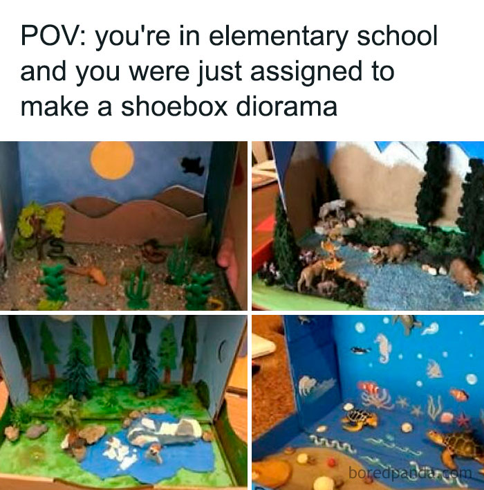 Elementary school shoebox diorama projects with animals and nature scenes evoking nostalgic memories from the good old days.