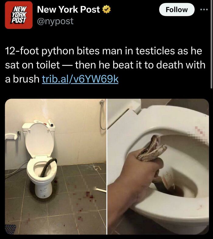 Tweet from New York Post showing a python in a toilet and a hand holding the snake, illustrating traumatizing the next generation.