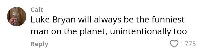 Comment on social media about a country star abruptly stopping mid-concert after forgetting all the words.