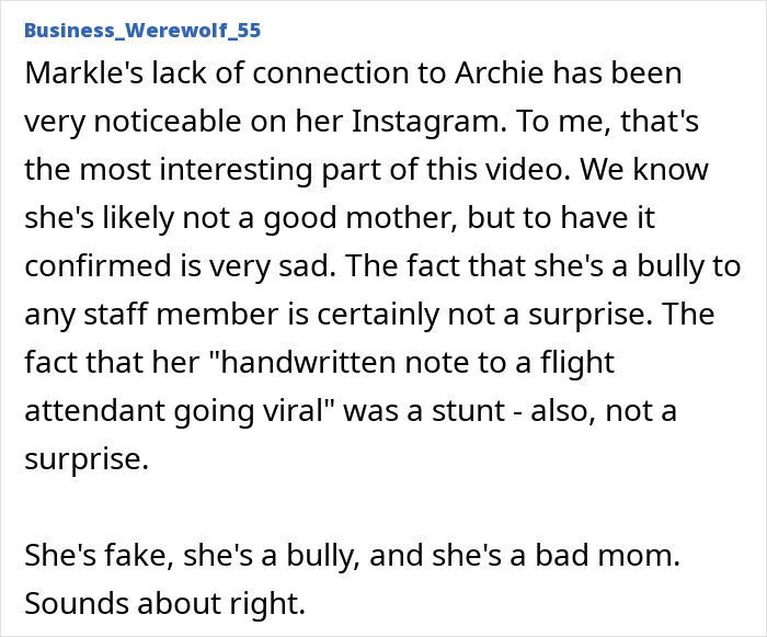Screenshot of a social media comment criticizing Meghan Markle's treatment of her kids and behavior towards flight attendants.