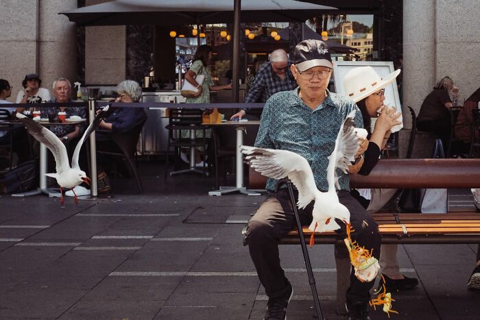 Candid street photo of an elderly man feeding seagulls on a busy city bench, capturing everyday urban life moments.