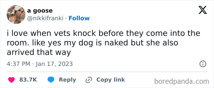 Tweet about a dog being naked when vets enter, capturing the humorous side of delightful animals in funny animal memes.