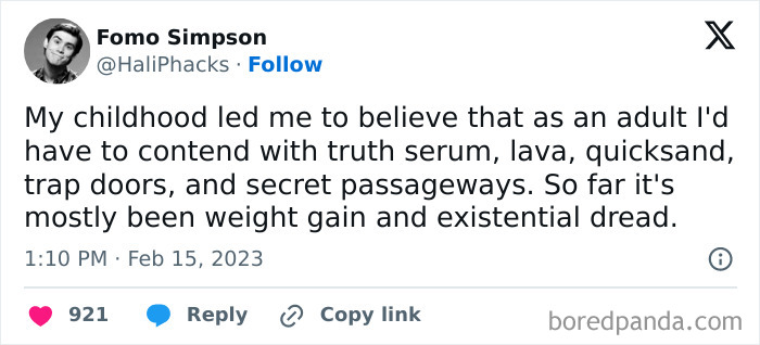 Humorous meme reflecting nostalgic childhood expectations versus adult reality with themes of nostalgia and the good old days.