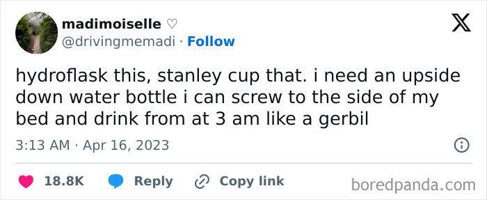 Screenshot of a funny mom post about needing a water bottle to drink from at 3 am like a gerbil.