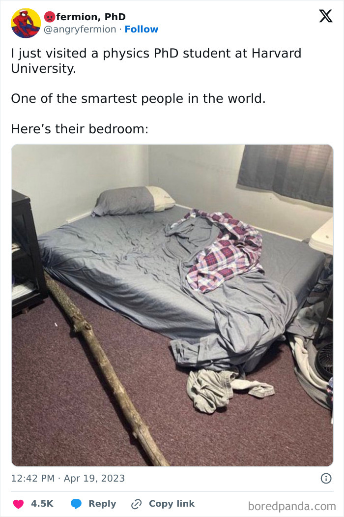 A messy bedroom with a bed, gray sheets, clothes on the floor, and a large tree branch beside the bed, a hmmm moment.