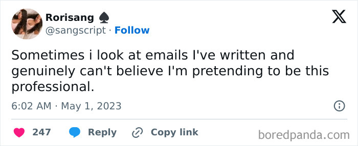 Sarcastic meme text about doubting professionalism while looking at past emails, perfect for inner cynics.