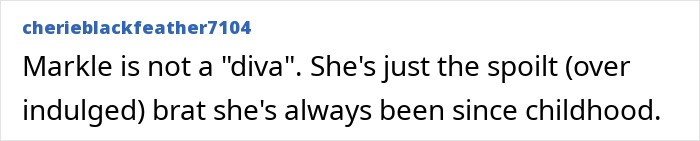 Comment criticizing Meghan Markle&rsquo;s behavior, referencing claims about how she treats her kids like accessories.