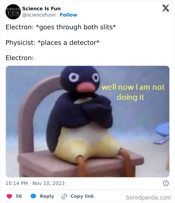Physics meme showing a stubborn penguin refusing to go through slits when a detector is placed by a physicist.