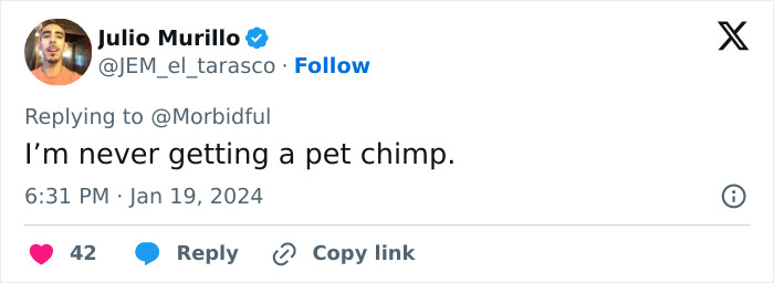 Tweet from Julio Murillo replying to a comment about not getting a pet chimp, with 42 likes and timestamp.