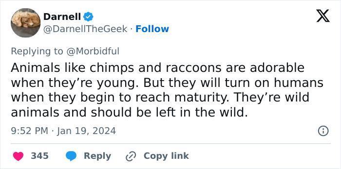 Tweet on chimpanzee behavior warning about dangers, shared by user Darnell discussing risks to humans from wild animals.