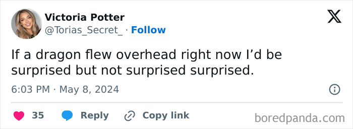 Funny mom post tweet by Victoria Potter saying a dragon flying overhead would be surprising but not fully surprising.
