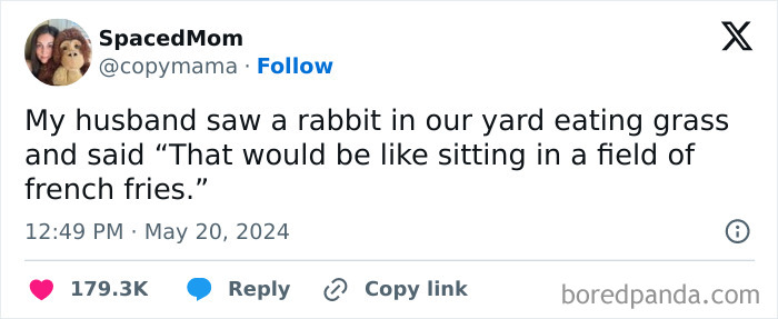 Tweet from SpacedMom humorously describing a husband comparing a rabbit eating grass to sitting in a field of French fries in a funny meme.