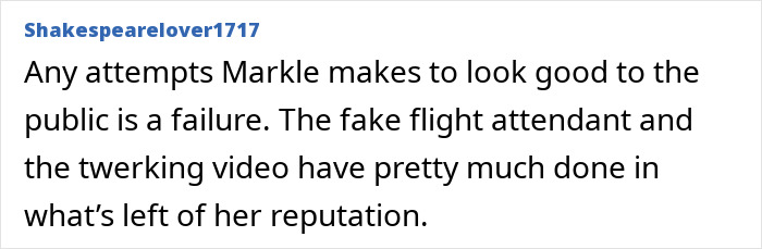 Text from user comment criticizing Meghan Markle amid flight attendant claims about her kids treated like accessories.
