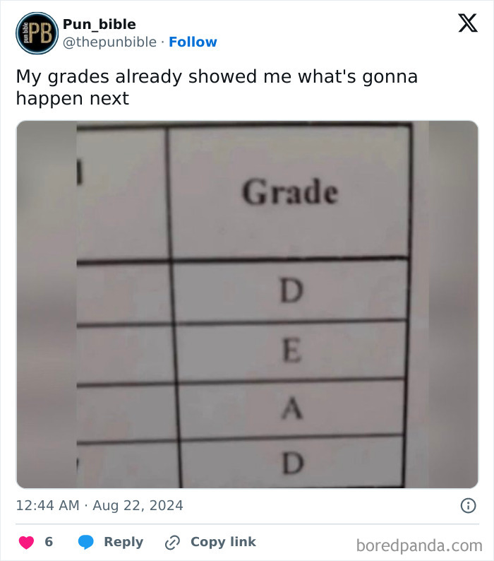 Grades listed as D E A D on a report card, showcasing a hilarious pun meme about wordplay humor.