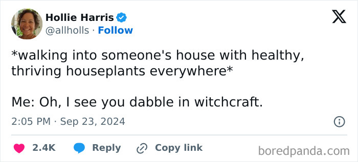 Screenshot of a humorous X post about parenting, mentioning houseplants and witty commentary on witchcraft.