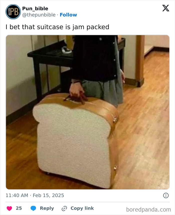 Person holding a suitcase shaped like a slice of bread, showcasing hilarious pun memes and clever wordplay comedy.