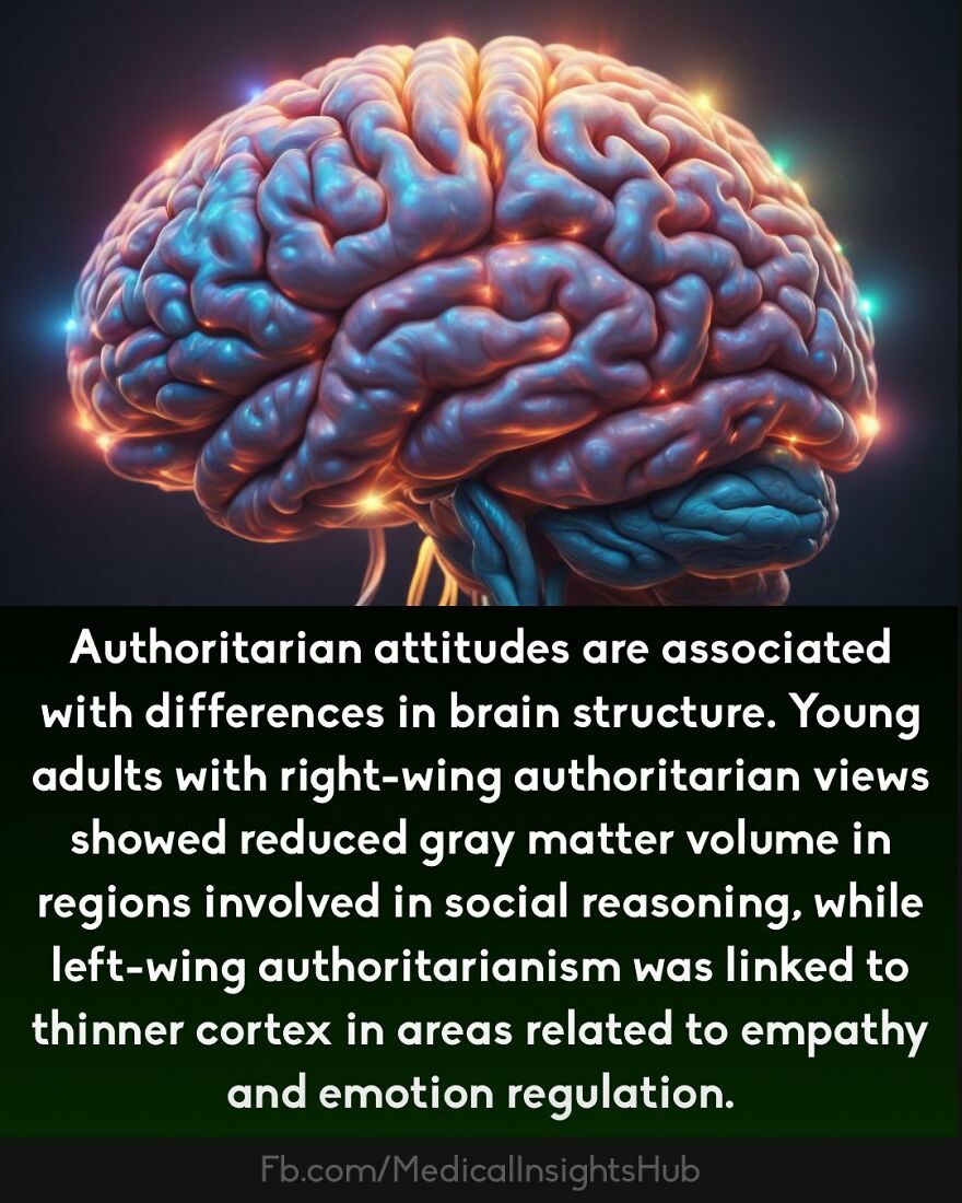 3D illustration of a human brain highlighting medical facts related to fingers containing no muscles and brain structure differences.