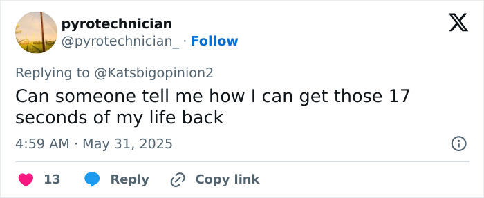Tweet by pyrotechnician questioning how to get 17 seconds of life back, related to Meghan Markle hack controversy.