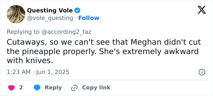 Tweet screenshot showing criticism of Meghan Markle&rsquo;s kitchen hack, highlighting her awkwardness with knives and pineapple cutting.