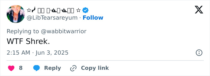 Tweet by user LibTearsareyum replying WTF Shrek, referencing Mike Myers and witness details in Diddy's trial discussion.