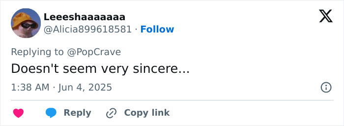 User comment on social media expressing doubt about sincerity in Chris Pratt sparks heated reactions over tribute.