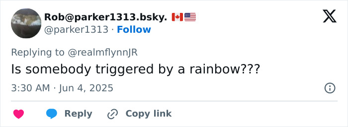 Tweet from user Rob questioning if someone is triggered by a rainbow in response to Michael Flynn's son, related to Nick Offerman. Tweet from user Rob questioning if someone is triggered by a rainbow in response to Michael Flynn's son, related to Nick Offerman.
