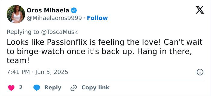 Tweet discussing growing interest in Passionflix, related to Elon Musk&rsquo;s sister&rsquo;s steamy romance service during a feud.