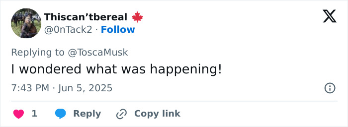Screenshot of a tweet expressing surprise, linked to Elon Musk&rsquo;s feud fueling interest in his sister&rsquo;s romance service.