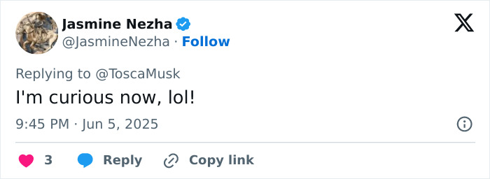 Screenshot of a Twitter reply by Jasmine Nezha expressing curiosity about Elon Musk&rsquo;s sister&rsquo;s steamy romance service.