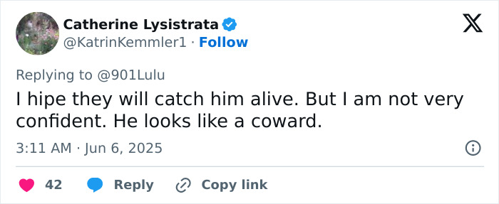Screenshot of tweet expressing hope police catch the dad who suffocated three daughters, referencing his search history and hideout.