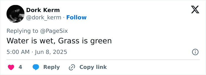 Tweet by user Dork Kerm at 5:00 AM June 8, 2025, replying to PageSix with a comment about water and grass being wet and green.