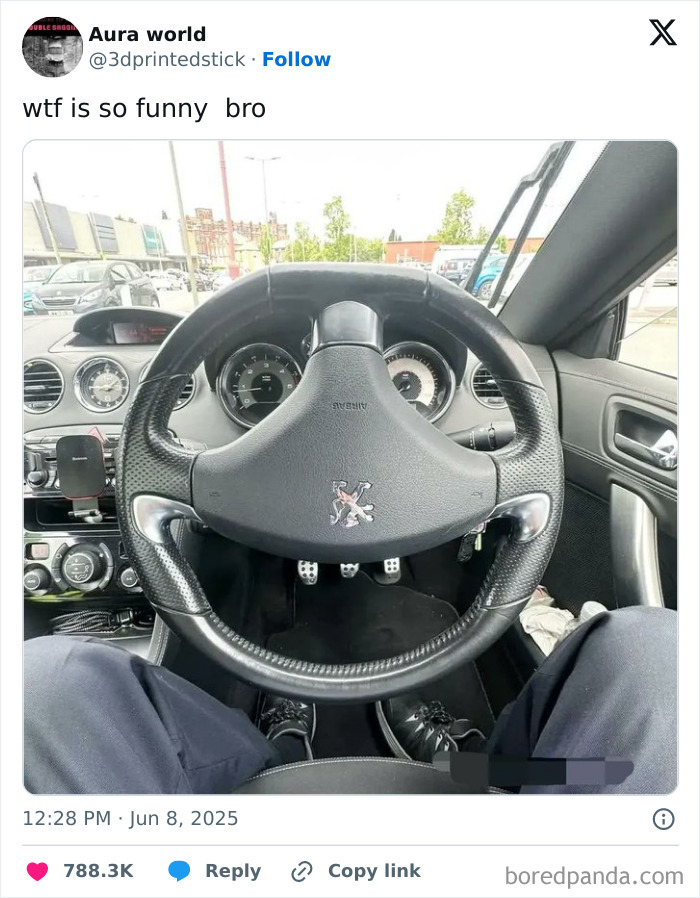 Car steering wheel humor captured in a viral tweet from the best tweets that c*****d people up this June.