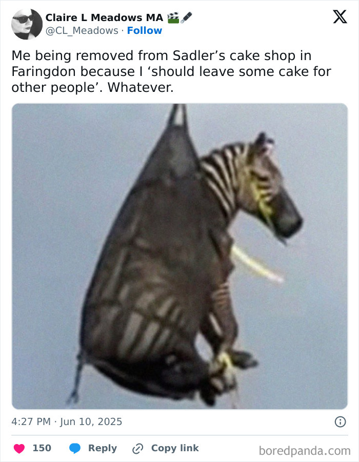 Tweet featuring a humorous image of a zebra being removed, showcasing some of the best tweets that c*****d people up this June.