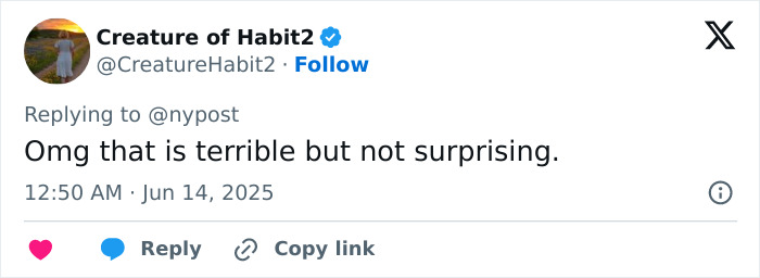 Tourist sitting on crystal-covered Van Gogh chair in Italian gallery causing damage to the artwork.