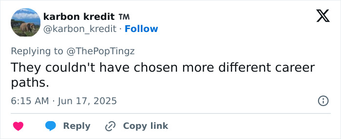 Tweet reacting to the revelation of nepotism involving Pope Leo XIV and Madonna with a humorous career comment.