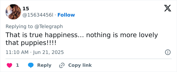 Tweet praising the happiness puppies bring in response to Kate Middleton&rsquo;s post of Prince William&rsquo;s puppy for his 43rd birthday.