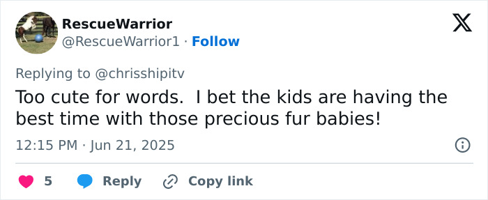 Kate Middleton shares cute puppy photo of Prince William on his 43rd birthday, honoring Diana&rsquo;s memory.