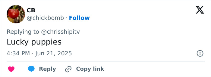 Kate Middleton shares cute puppy photo of Prince William celebrating his 43rd birthday, honoring Diana's memory.