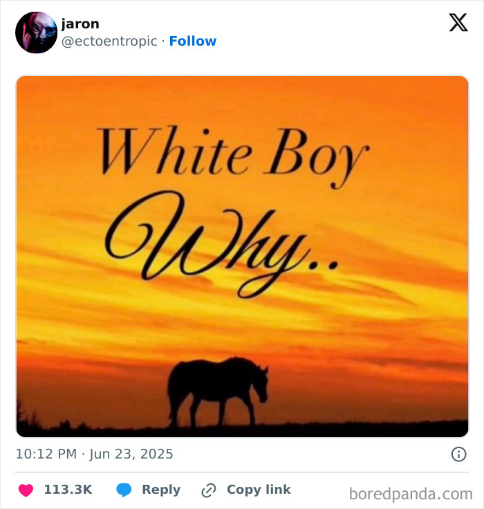 Tweet image with text White Boy Why over a sunset background featuring a silhouetted horse, highlighting best tweets that c*****d people up.
