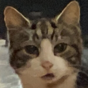 michaelleedham953 avatar