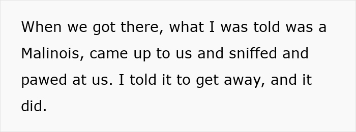 Text describing a kid&rsquo;s birthday where the mom demands the dog be locked away for safety and order.