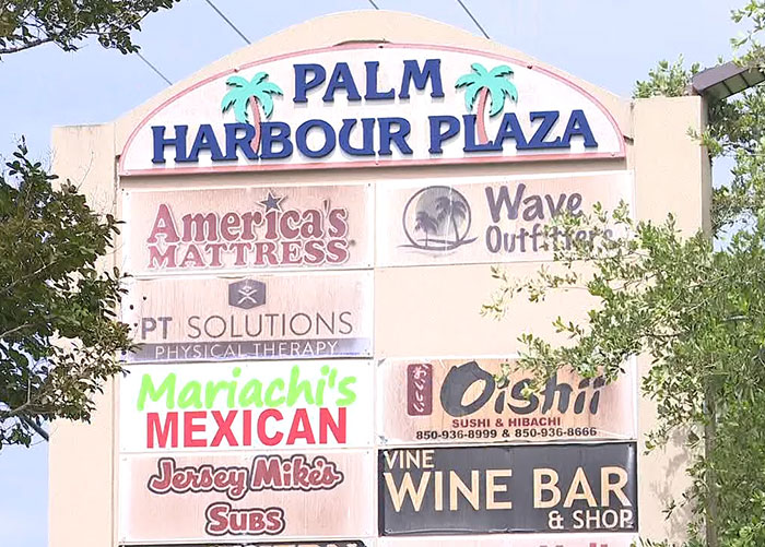 Palm Harbour Plaza sign featuring Jersey Mike's Subs, the location linked to captive woman's brave cry for help and rescue.
