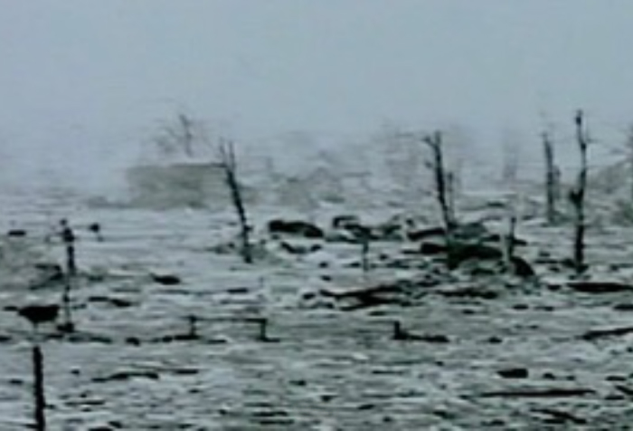 Ruined landscape with broken trees and debris, depicting the worst tornado in US history with many lives lost.