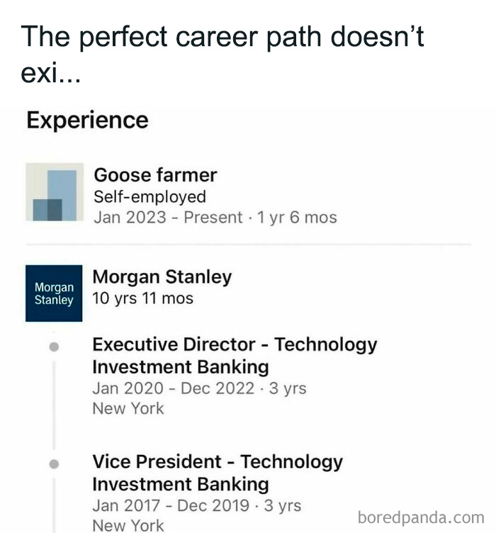 Career path post showing experience as goose farmer and executive roles at Morgan Stanley from a college confessions meme page.